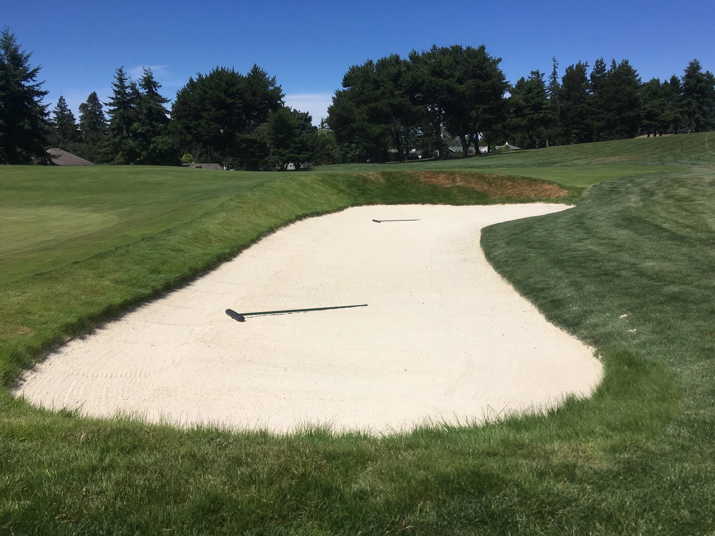 White Bunker Sand — Lane Mountain Company